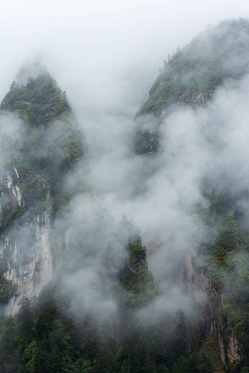 海螺沟冰川森林公园 3