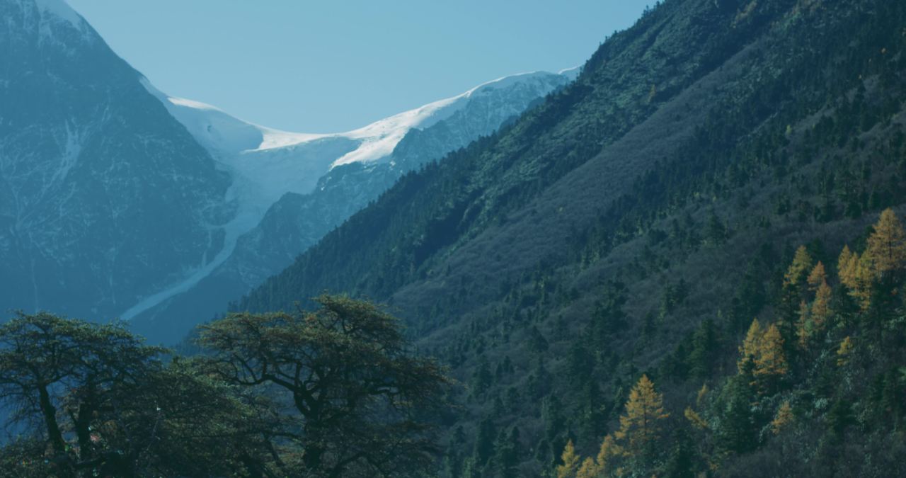 悠闲的村庄