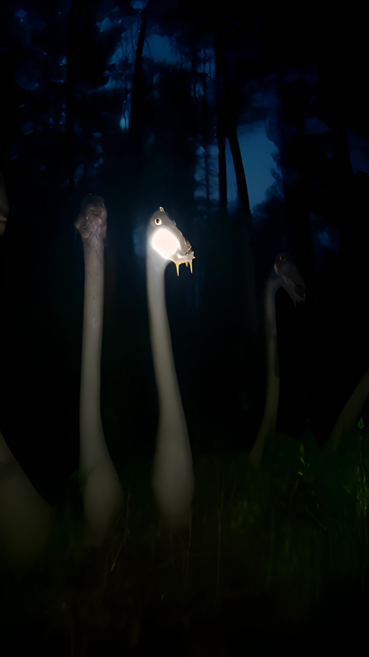 多个细长脖子的生物站立在黑暗的森林中，它们头部类似