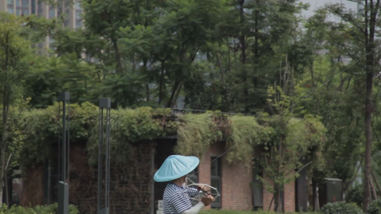 熊猫基地，沙河，锦江339绿道