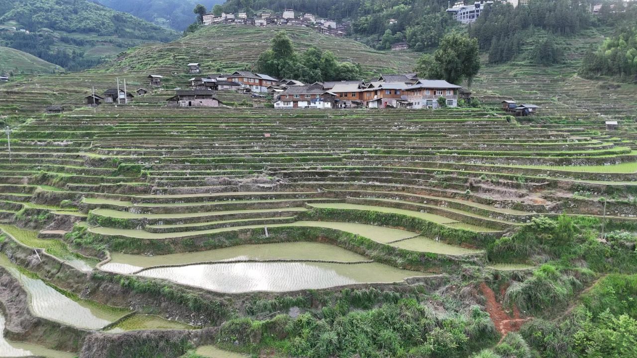 贵州网红加榜梯田航拍 1