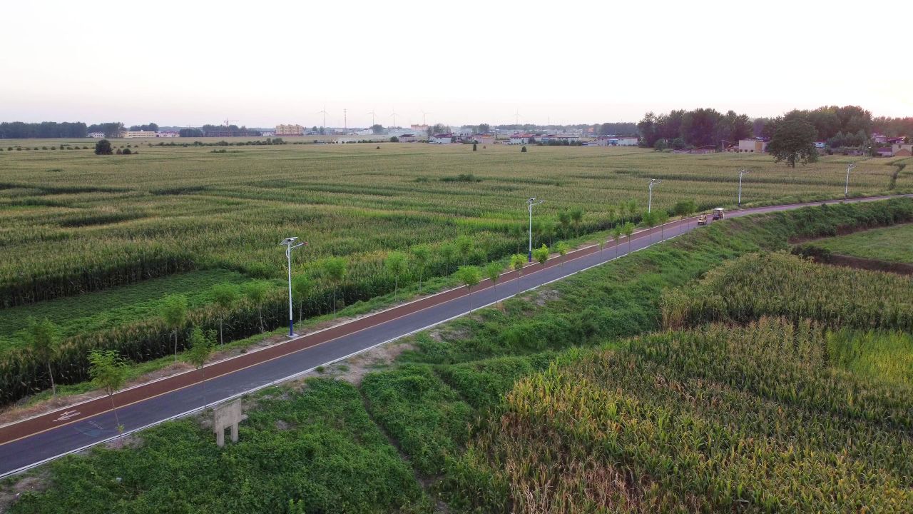 从空中航拍玉米田和小路