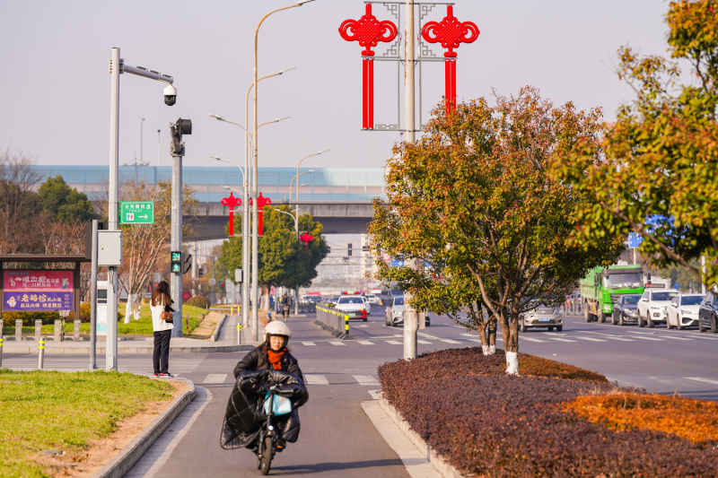 道路上的新春中国结 5