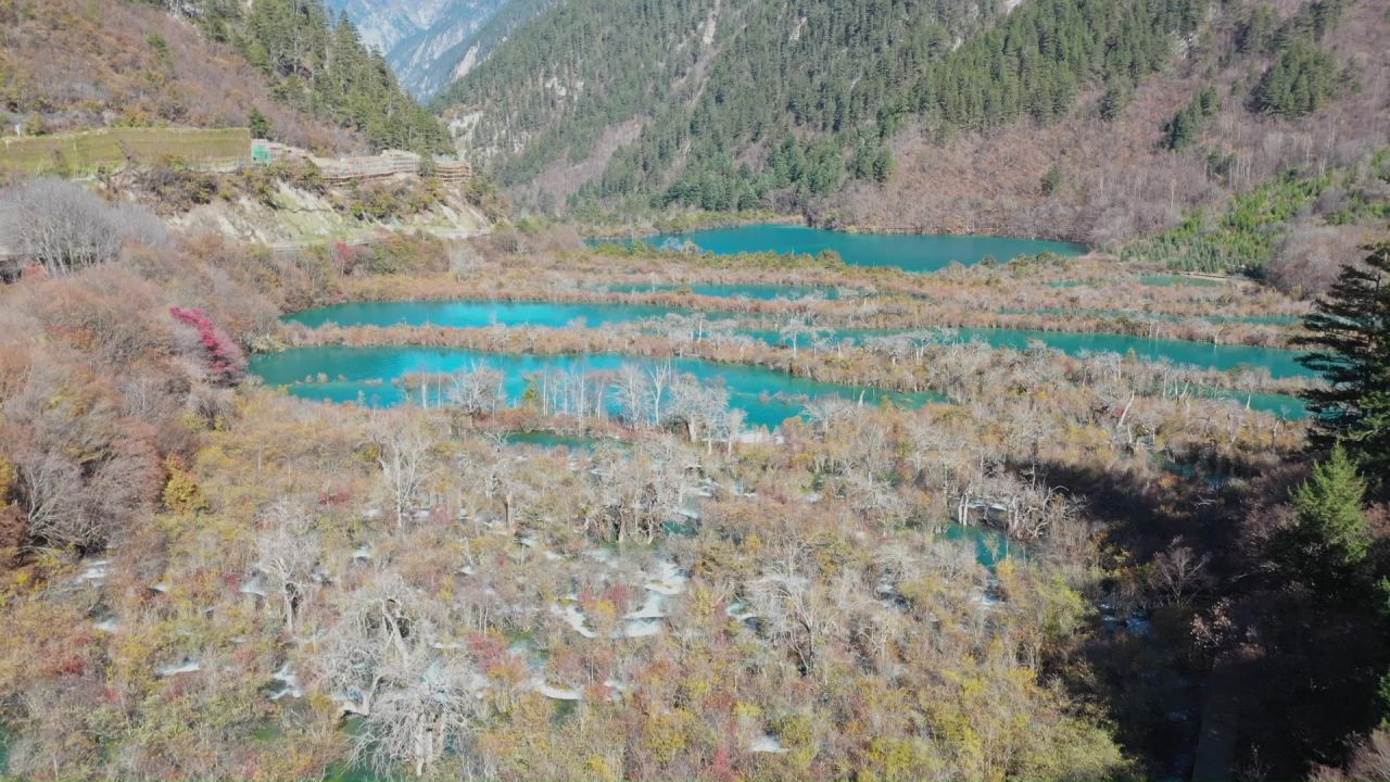 航拍九寨沟树正群海秋景