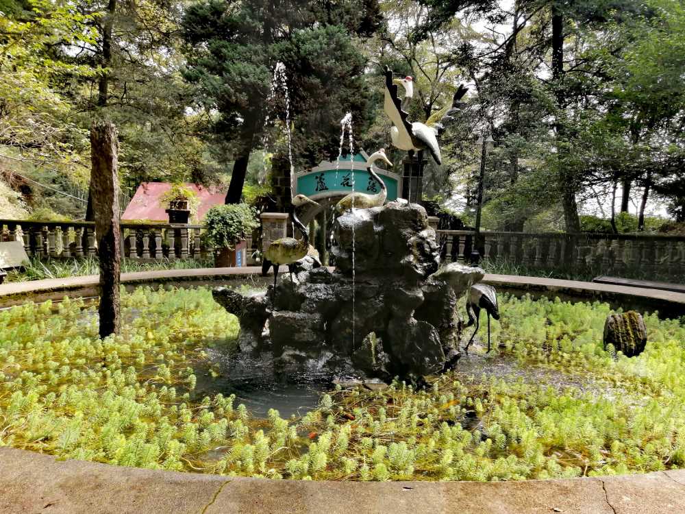 芦花荡