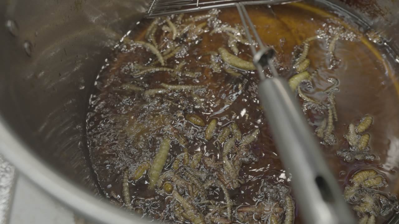 烤串 9