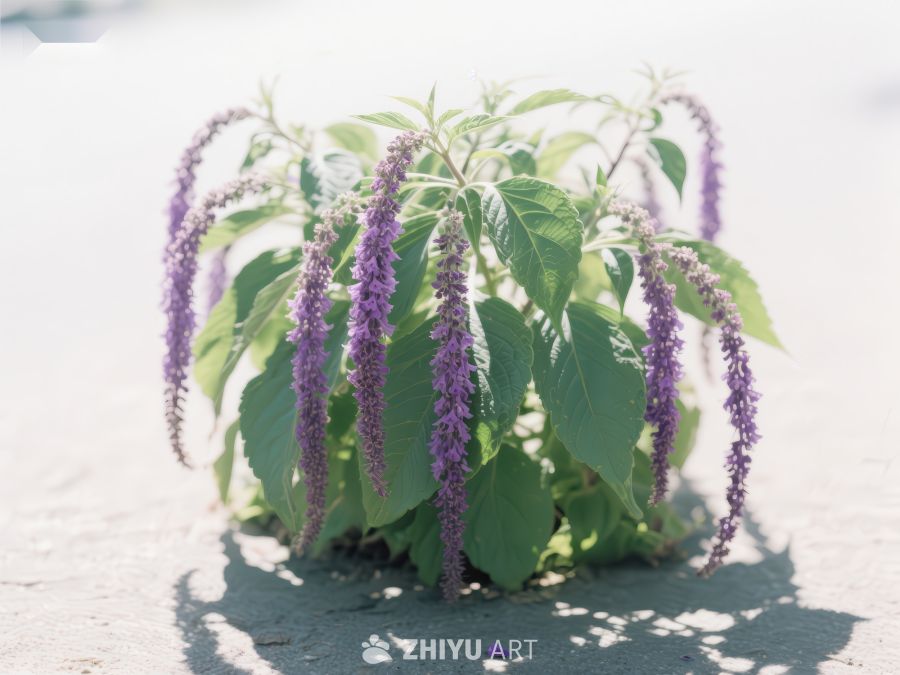 紫色花朵与绿叶的自然景观 710