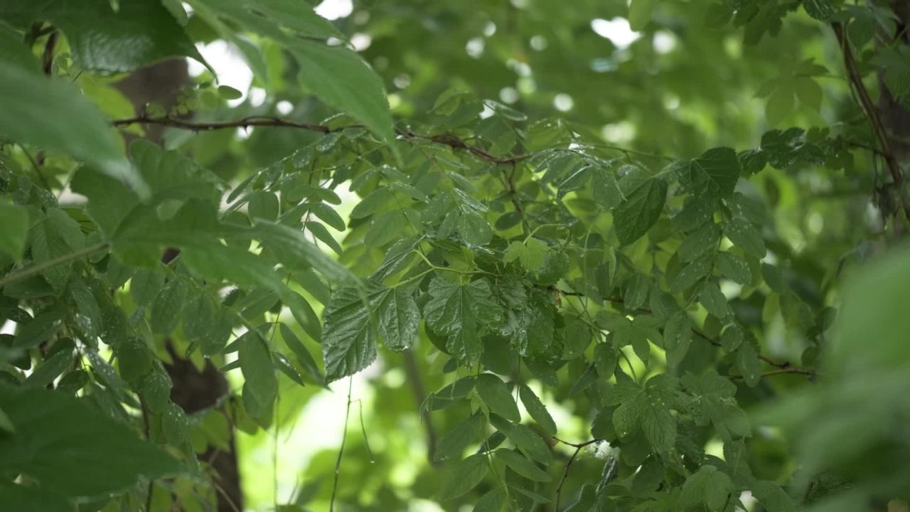 一天下雨水滴 45