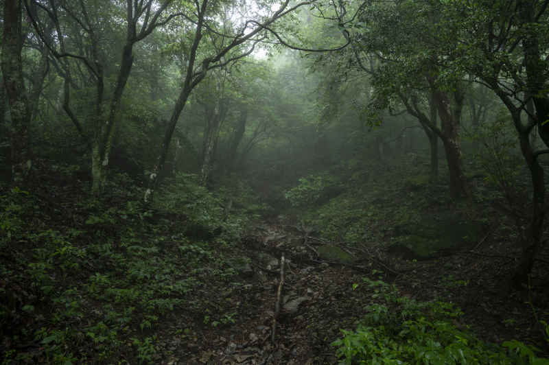 大美武功山 25
