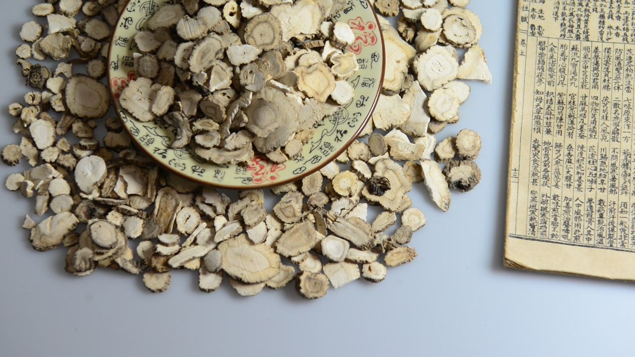 中药材白芷 12