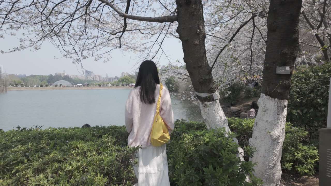 背影 4