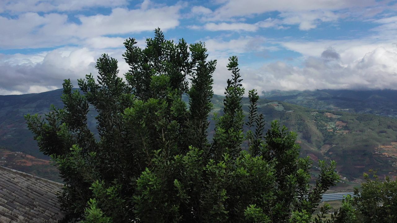 坚果基地 5