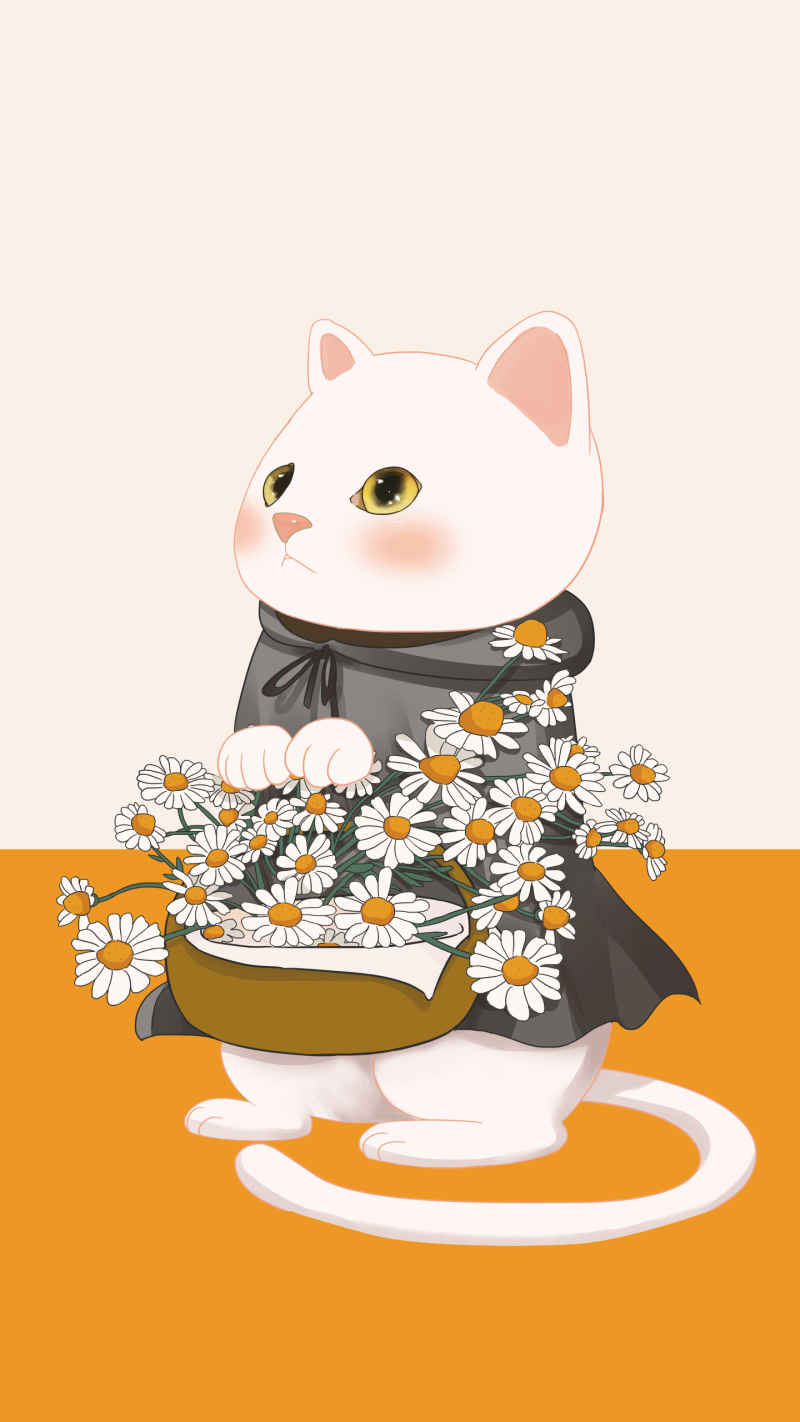彩菊归来