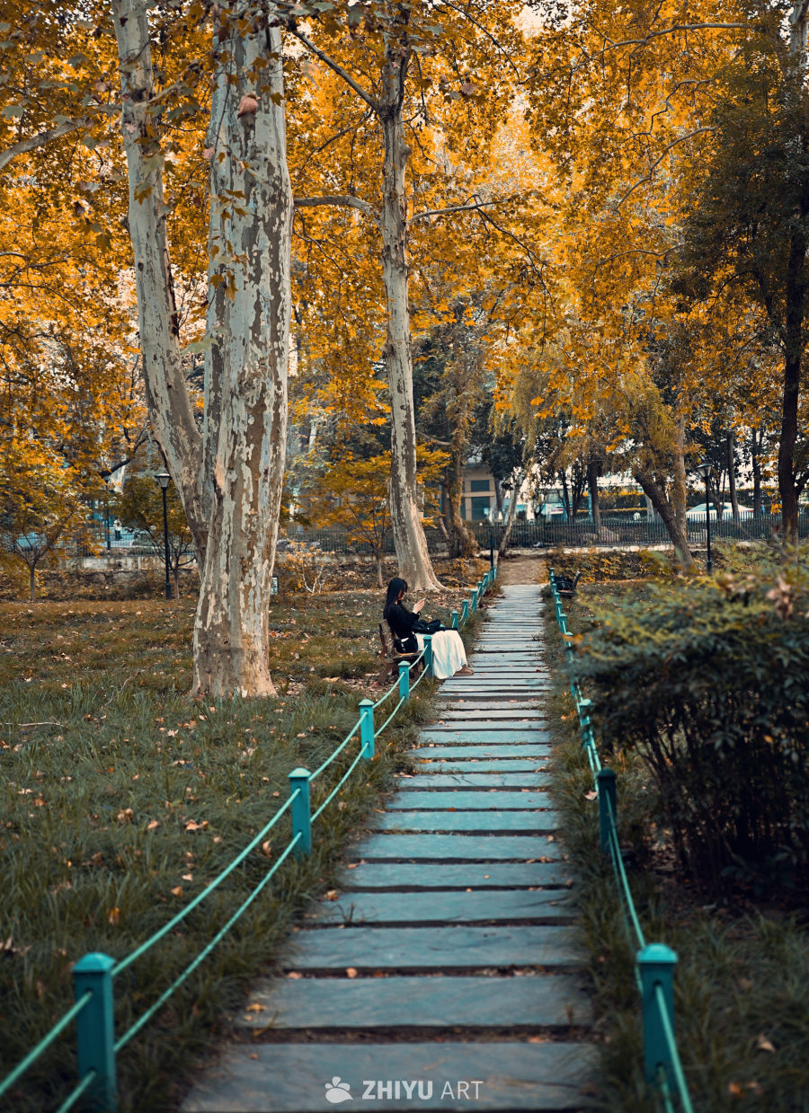 秋日公园静思图