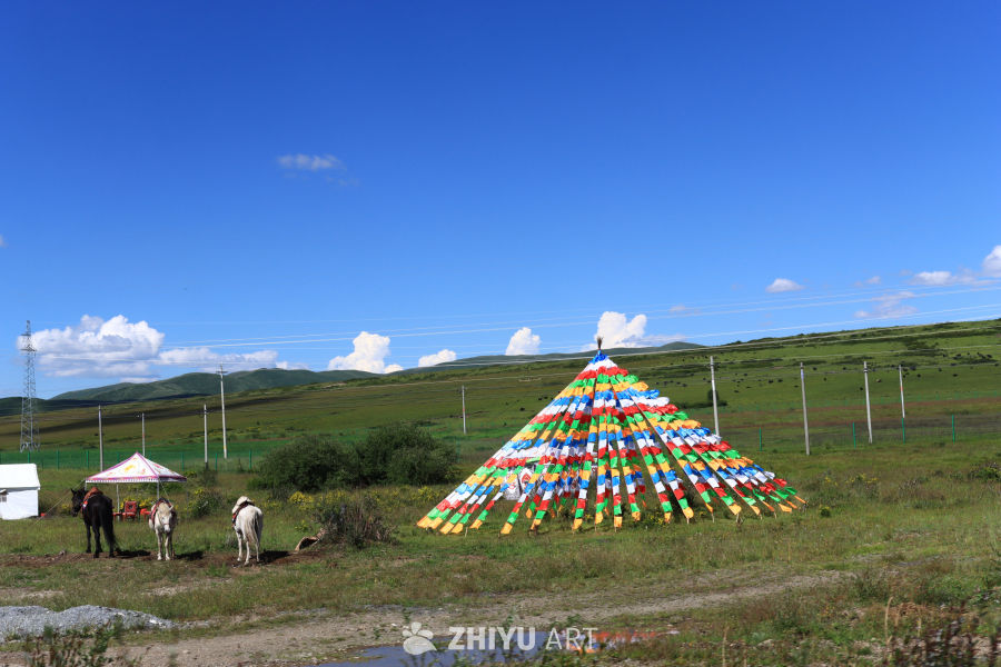 高原上的经幡与马匹