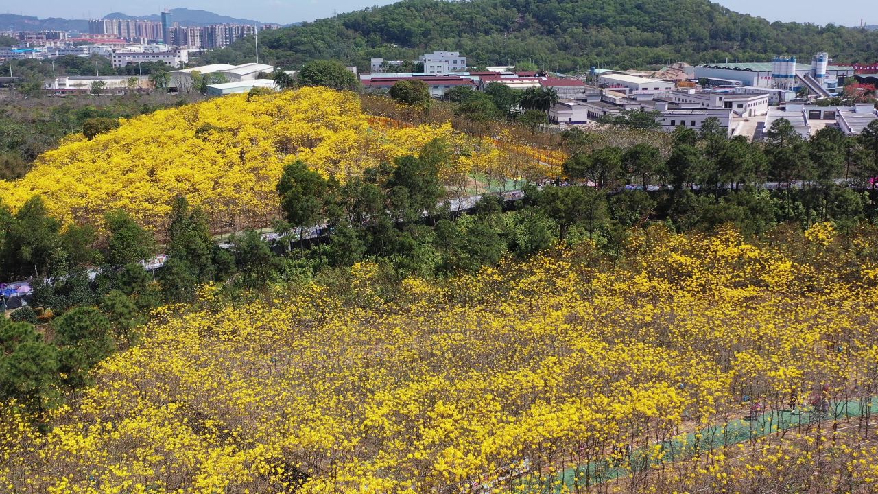 中山南朗云梯山