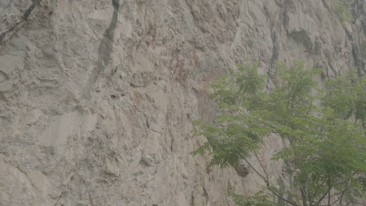 岩画 8