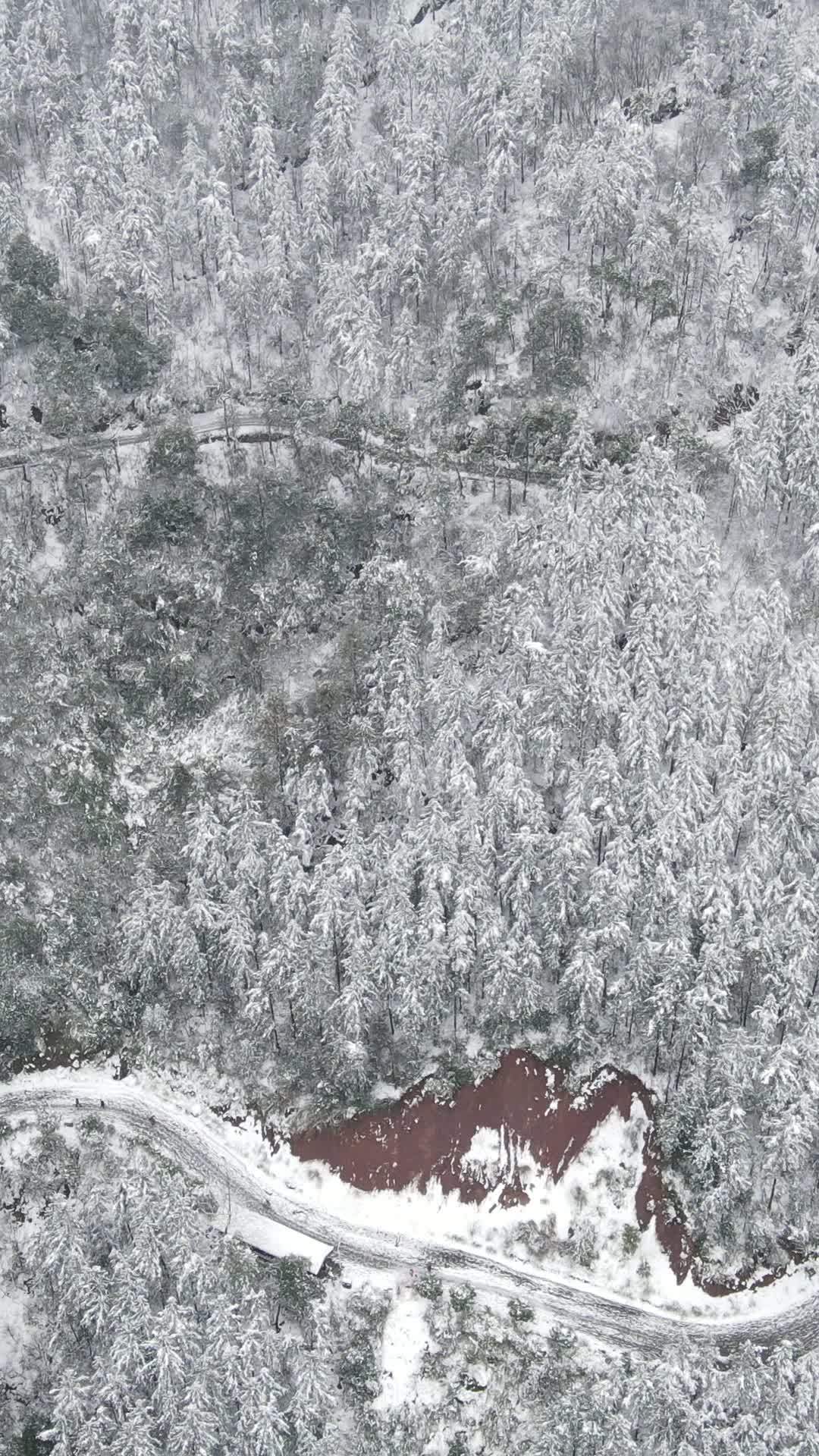 雪覆森林航拍