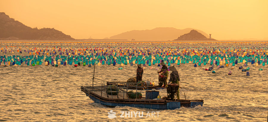 日落下的海上养殖