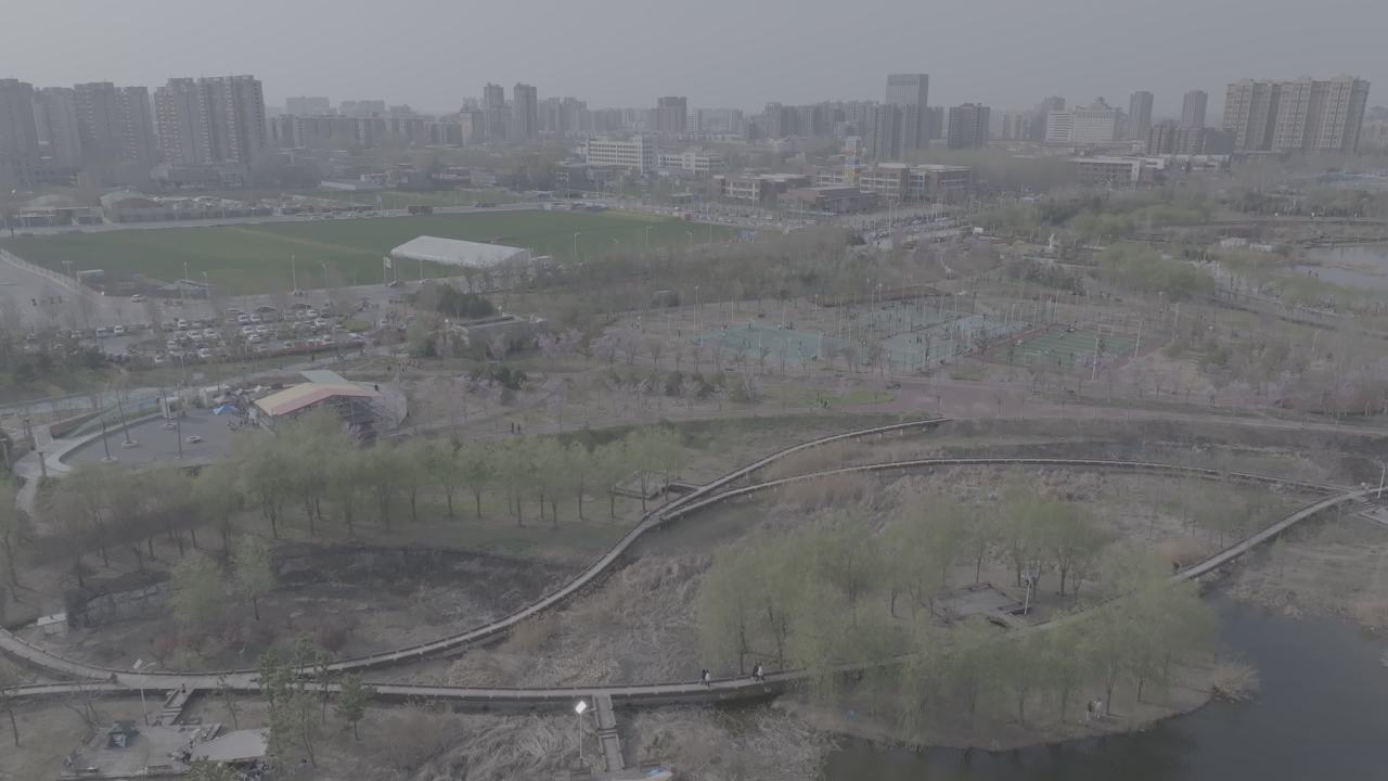 城市公园晨雾中的活力