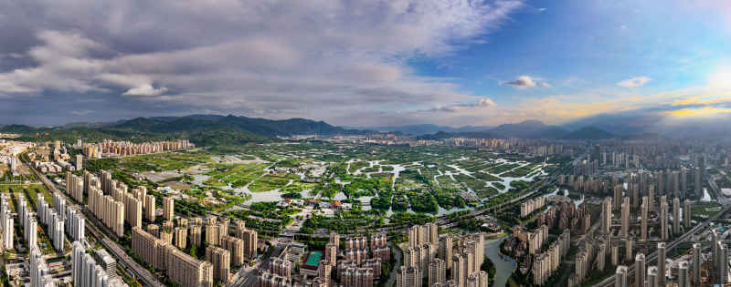 温州三垟湿地