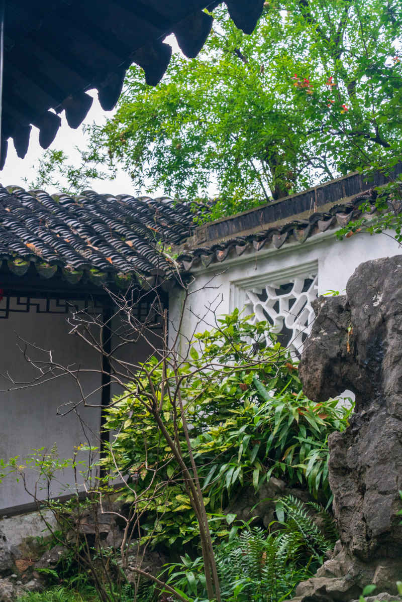 江南水乡 11