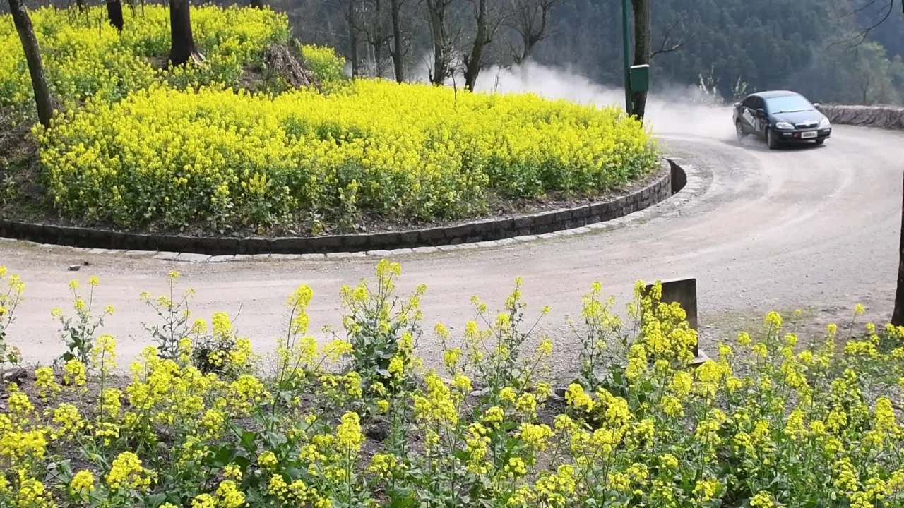 汽车比赛弯道转弯慢动作  汽车扬起灰尘