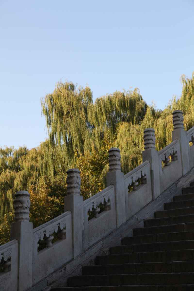 风景 36