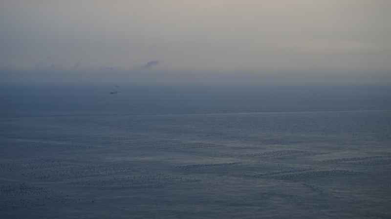 花鸟岛——大海的蓝