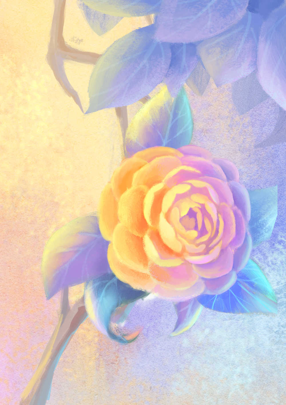 盛开的山茶花插画