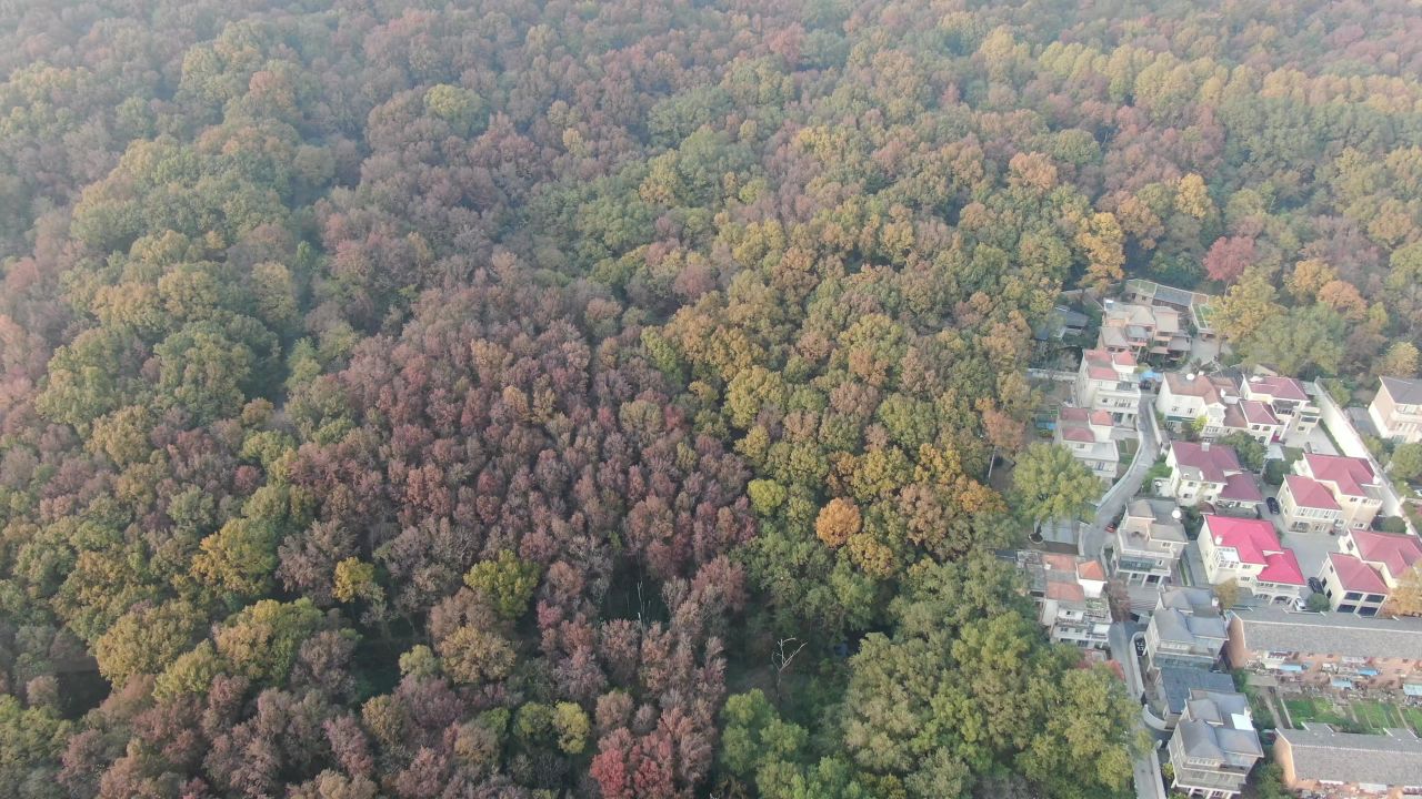 航拍南京中山陵美龄宫5A景区