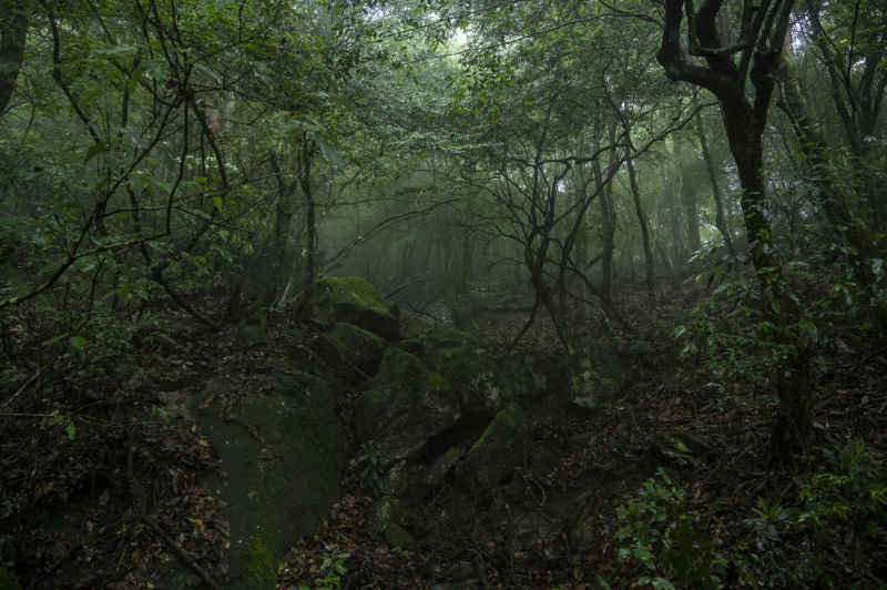 大美武功山 23