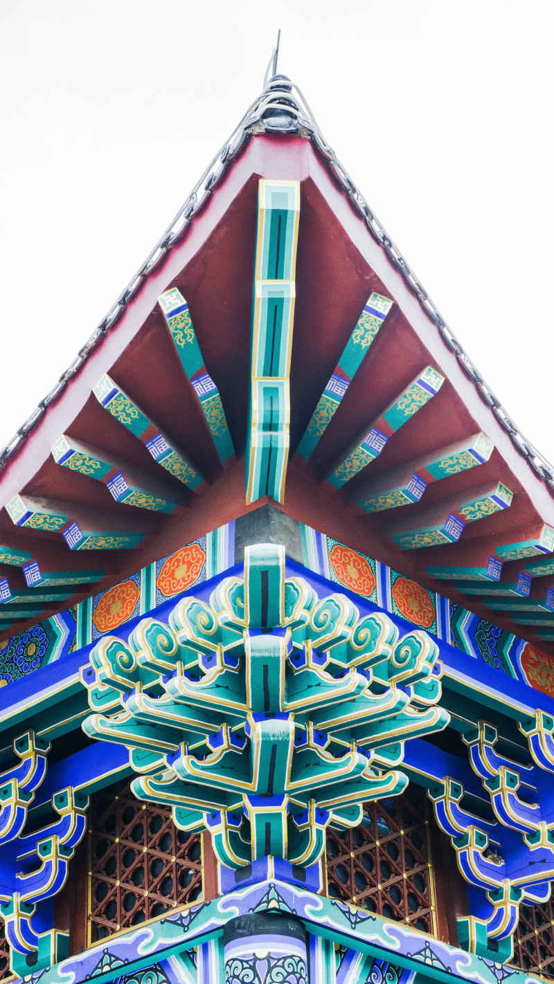 城市