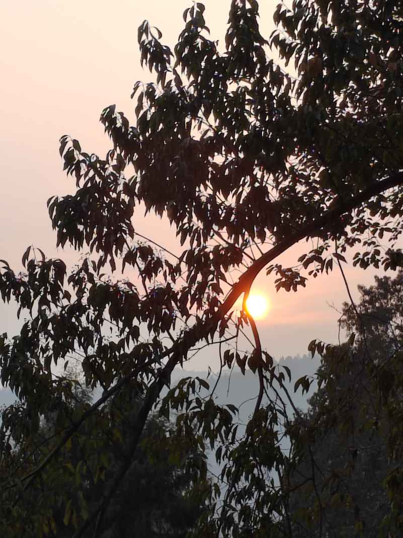 夕阳