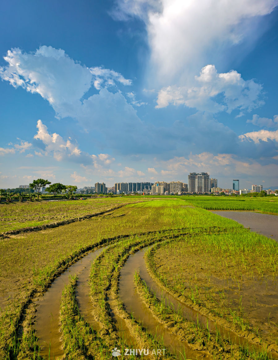 田园与城市的交汇