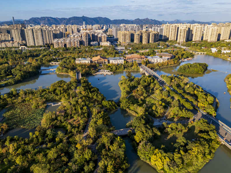 温州三垟湿地风光