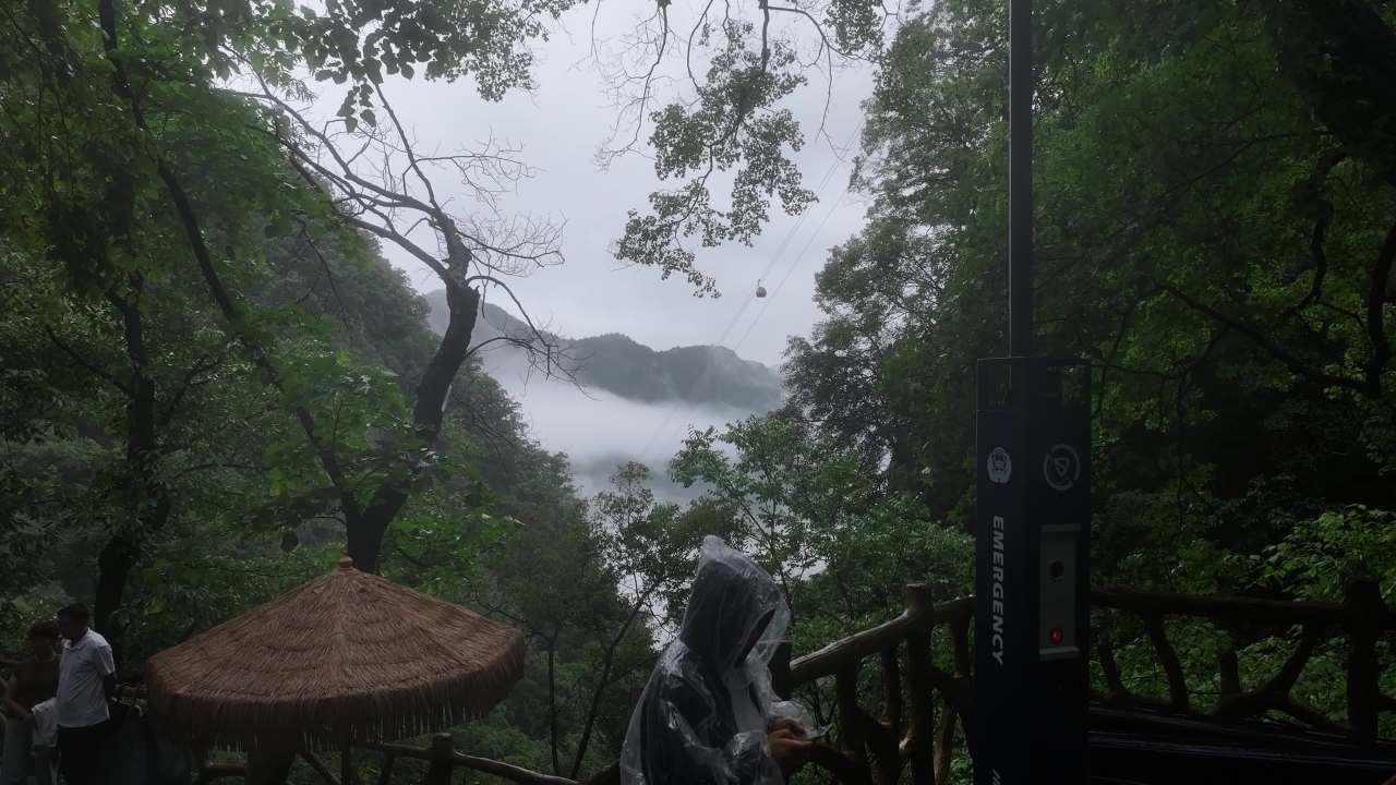 云海山谷缆车之旅