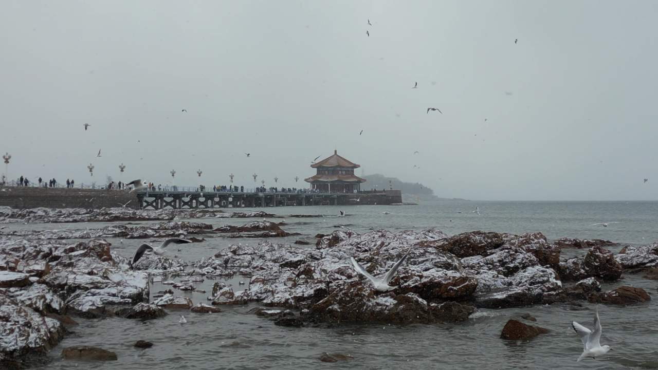 青岛市南老城区栈桥海边雪景航拍 16