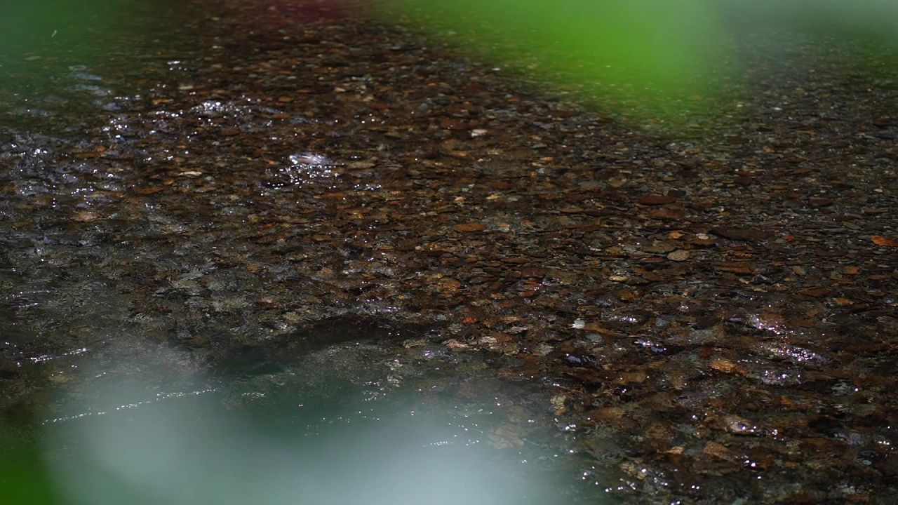 清澈见底的山川水流，瀑布小溪，清水清石