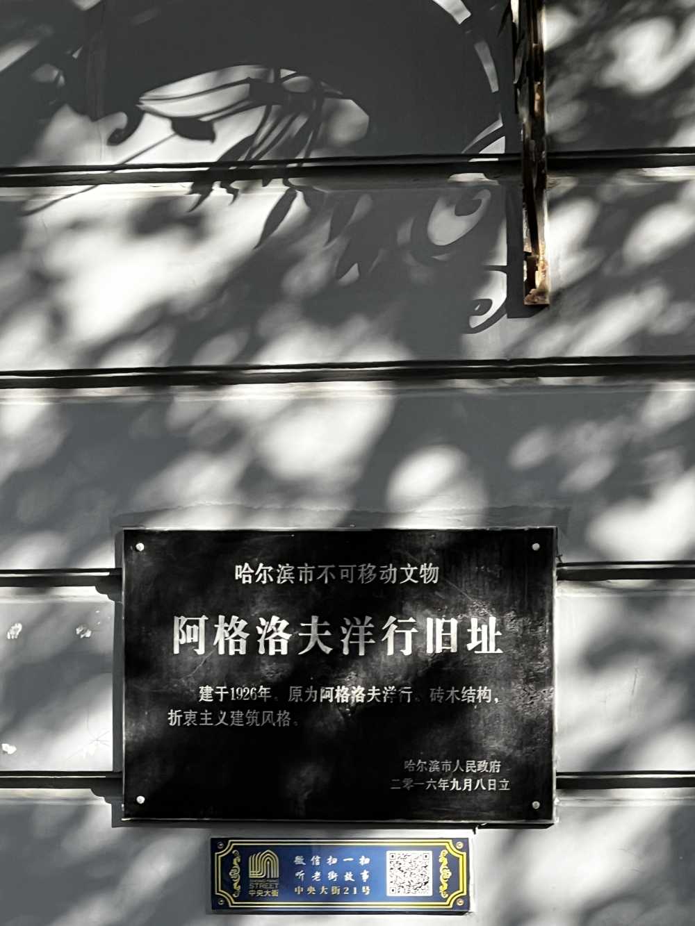 写照