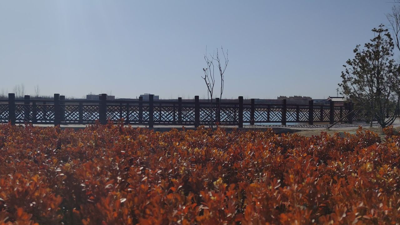 湖景