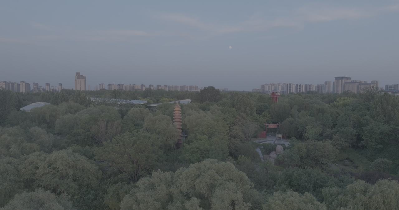 晨曦中的古塔与现代都市