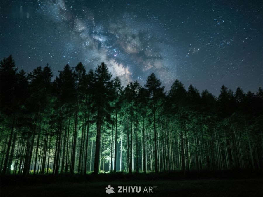 星空下的森林夜景 196