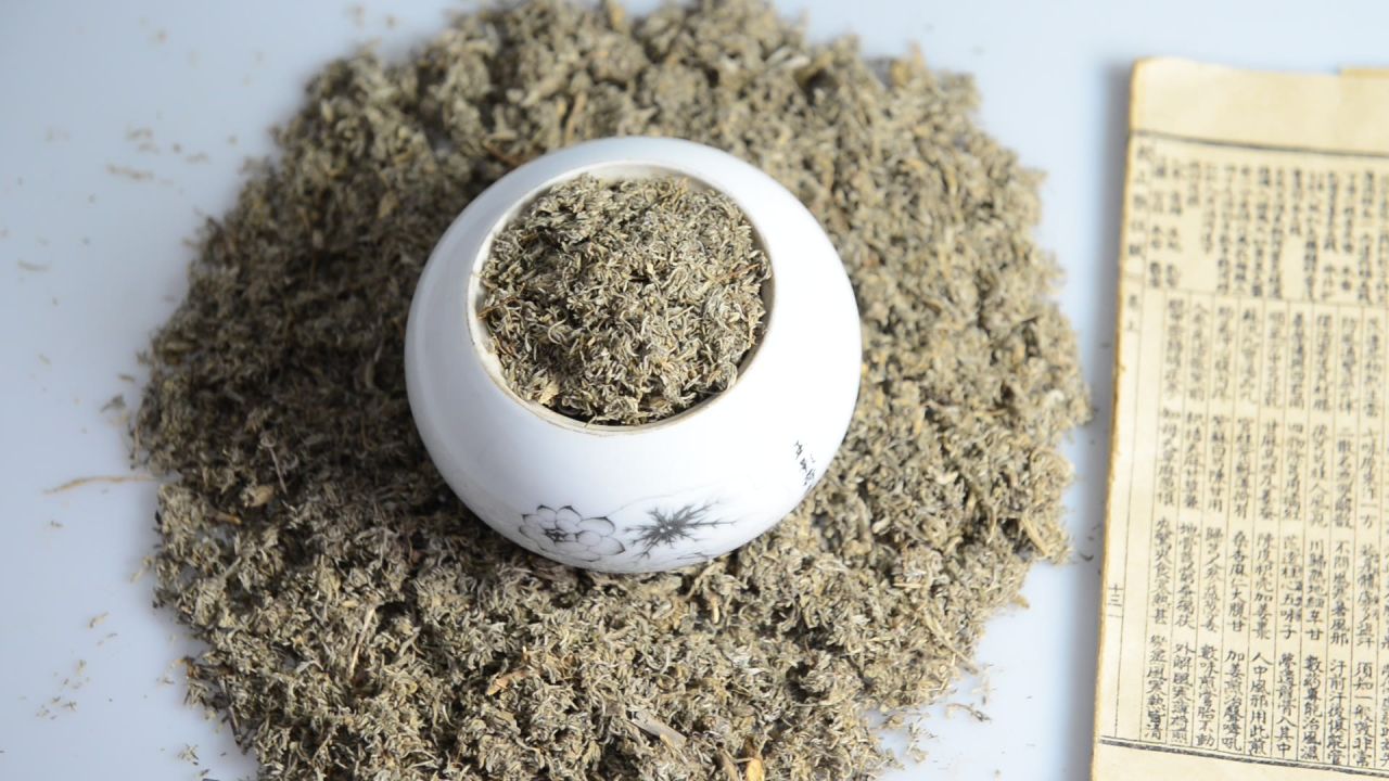中药材茵陈 1