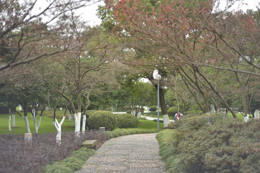 月湖公园