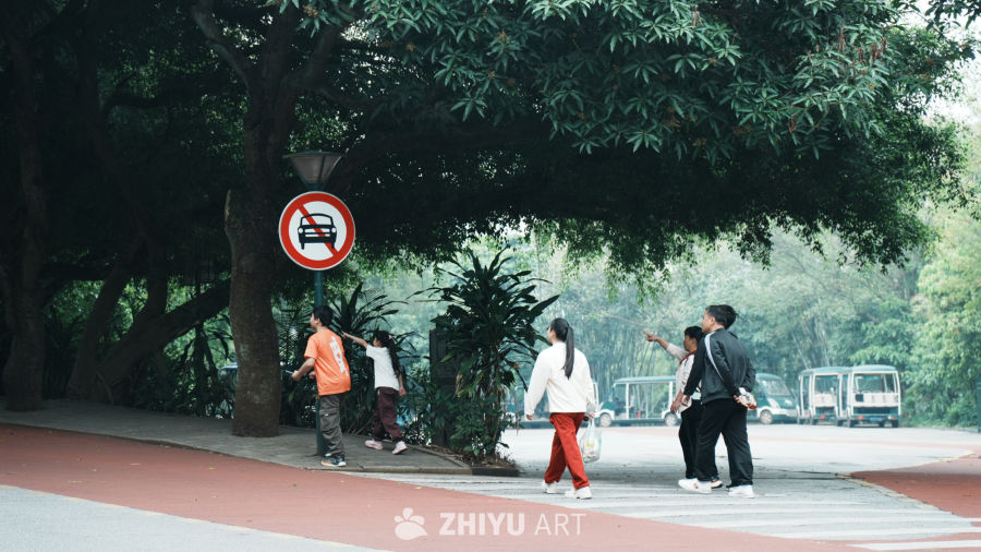 公园里的休闲时光