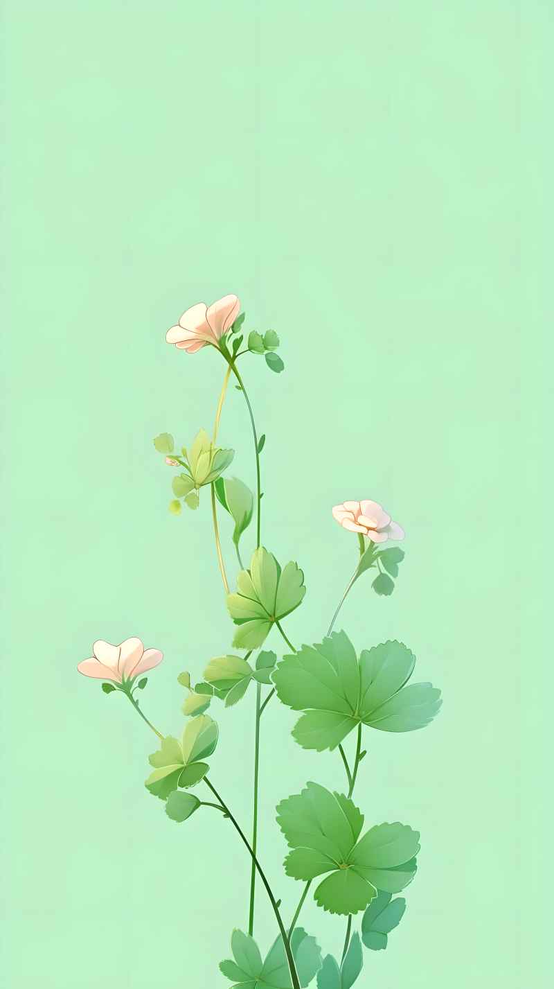 花艺术唯美背景图 37