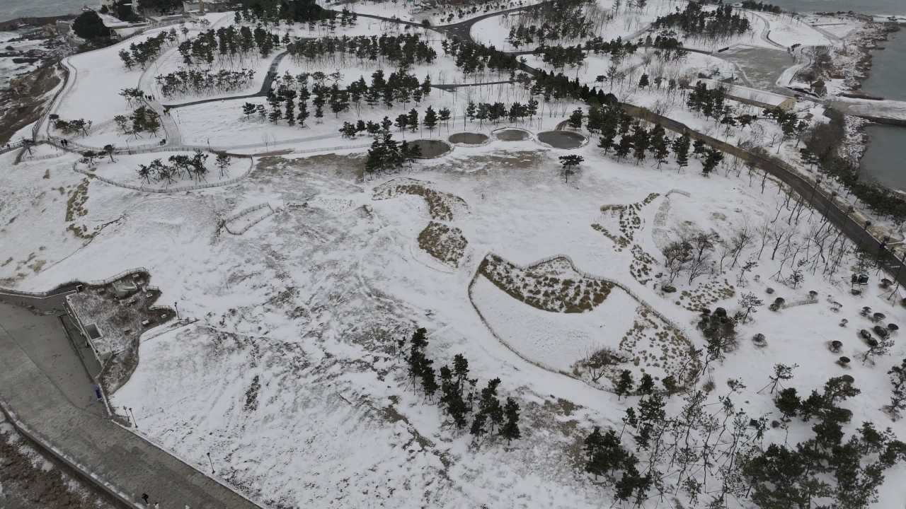 青岛小麦岛海边雪景航拍 16