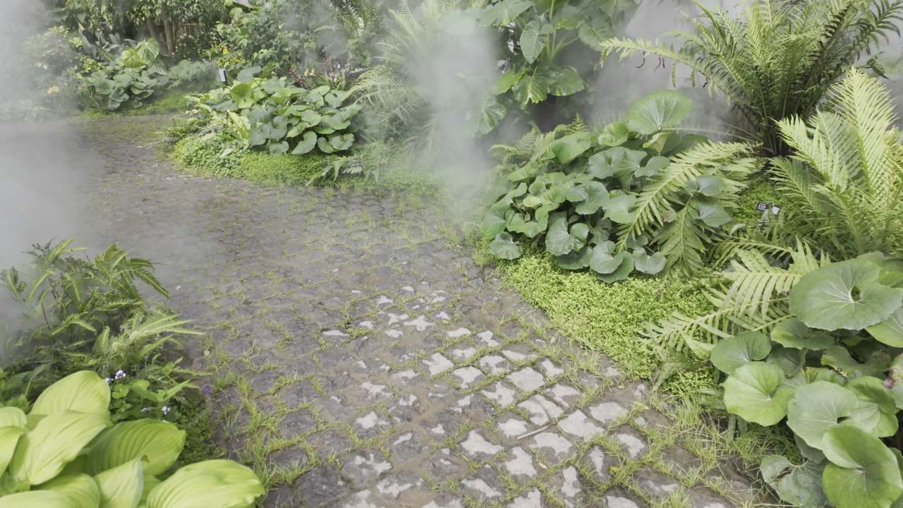 园林里的花花草草2 8