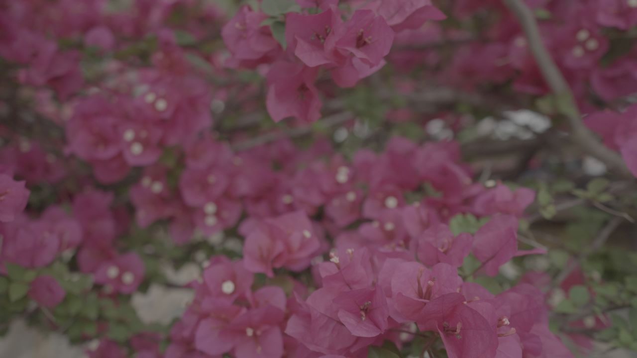 冰洞 2